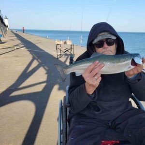 Meet your Posher, David l